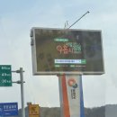 싱싱회수산 | 양양 회포장 양양장날에 들른싱싱수산 회포장 솔직 후기