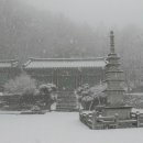 대 덕 사 이미지