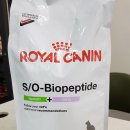 웰니스 클리닉 동물병원 이미지