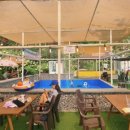 소나무카페(소나무관광농원) 이미지