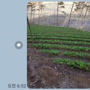 청정농장 이미지