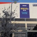 라피에스타 이미지