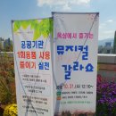 서구청 옥상생태공원 이미지