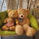 달콤한 슈가힐 이미지