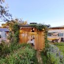 아드레이 이미지