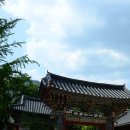 243-운정3-243 | 완주 연꽃 여행지 코스 갈만한곳 | 종남산 송광사 | 전북 가볼만한곳