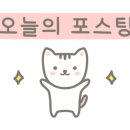 청려원 반려동물 센터 이미지