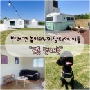 어플 추천] 전 지역 강아지 놀이터/운동장/마당 대여 어플 &#34;포동 멍래블&#34; 인천 멜리플루어스 이용 후기