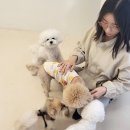 프롬몽쥬 네이버블로그