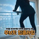 무브핏 힙클라임 가정용천국의계단 후기