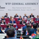 조정원 카카오 검색결과