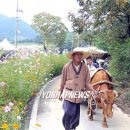 달구지마을 이미지