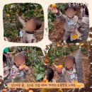 세원어린이집 | 현이농장