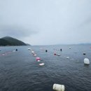 반동주유소 네이버블로그