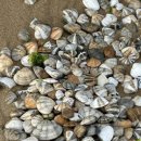 송지호오토캠핑장 | 🏖️ 송지호 오토캠핑장 통나무집 재방문 후기! 예약 꿀팁까지 완벽정리!