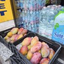 현대민박 | 역 → 밀라노 중앙역 기차 이동 정보 &amp; 밀라노 가성비 한인 민박 내돈내산 솔직후기 (+밀라노 도시세)