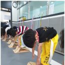 블랙 타이거 태권도장 이미지