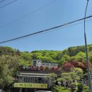 주막보리밥 | [용인 고기동] 용인 맛집 ‘주막보리밥’ 털레기 수제비 내돈내산 후기