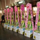 제15대 KBS여성협회 총회 및 회장 취임식 축하 쌀드리미화환 - 쌀화환 드리미 이미지