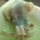 1번지원평댁