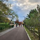 🍁 아산 독립기념관 ㆍ단풍나무길 산책 이미지