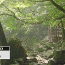 설천면102 이미지