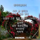 장미터널에서 이미지
