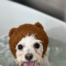 백조미용타운 이미지