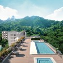 파라스파라 서울 이미지