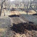 감돈축산 이미지