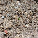 수궁펜션 | 일상 20 버텨 반짝이는 별