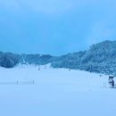 화이트피아 이미지