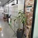 힐링요가 | 군산조촌동필라테스 임산부 자이로토닉 마음 필라테스 후기