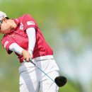 주효 카카오 검색결과