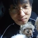해피치만화카페 이미지