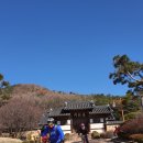 라온 Daum카페