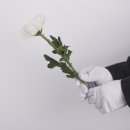 당진종합병원장례식장