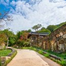 휴양림로 이미지