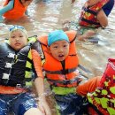 강아지테마파크 이미지