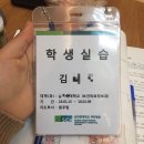 [의학용어Day4] 복부의 구분