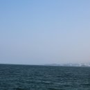 새동해바다 이미지