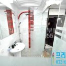 서련코아 이미지