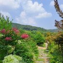 몽르베 네이버블로그