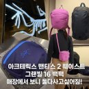 아크테릭스 맨티스 2 웨이스트 팩 그랜빌 16 백팩 매장에서 보니 둘다사고싶어짐!