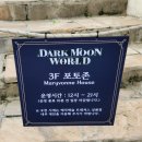 잠실 롯데월드 2024년 두번째 다크문 할로윈시즌 인형의집 굿즈 포토존 공연 등 후기