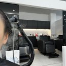 살롱드누스