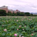 덕진마을 이미지