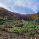 땅냄새공인중개사사무소 이미지