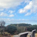 수줍은 언니네 이미지