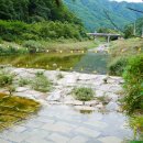 캠핑포유캠핑장 이미지